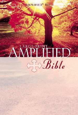Amplified Bible L/P B/L Burg - Zondervan